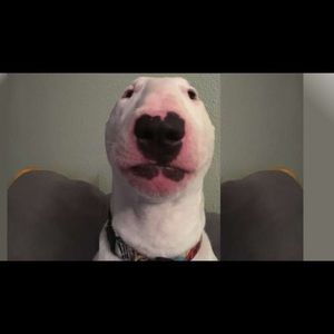 Meet your Posher, Jan